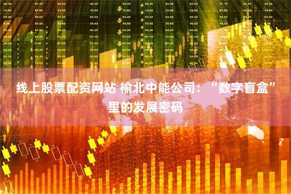线上股票配资网站 榆北中能公司：“数字盲盒”里的发展密码
