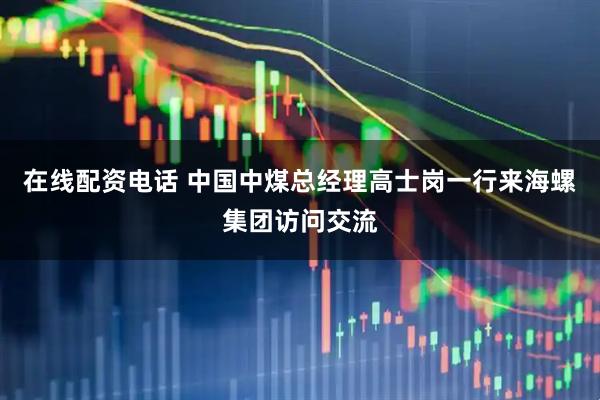 在线配资电话 中国中煤总经理高士岗一行来海螺集团访问交流