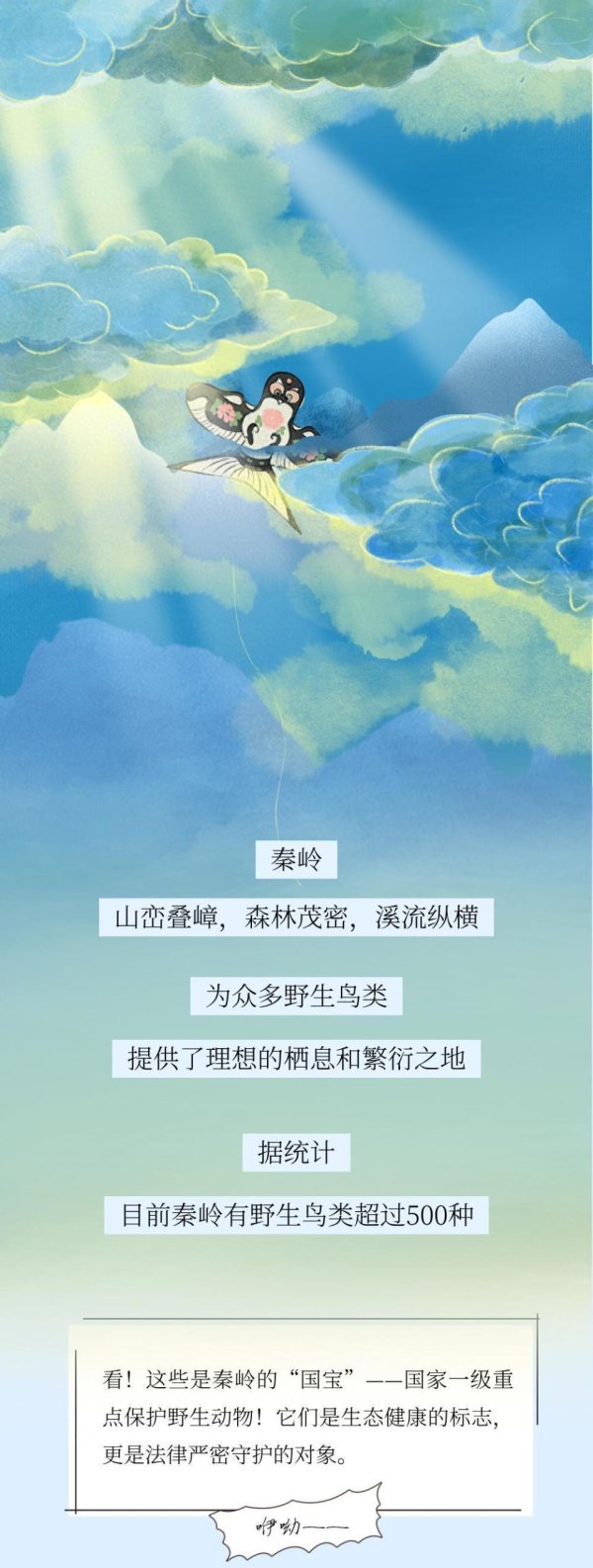 广西股票配资 你好, 秦岭的飞羽邻居!