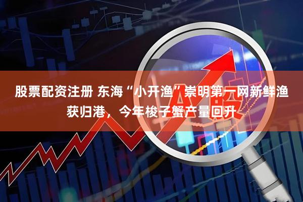股票配资注册 东海“小开渔”崇明第一网新鲜渔获归港，今年梭子蟹产量回升